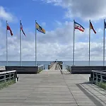 Strandflieder 304 *