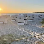 Strandflieder 304 * ボルテンハーゲン