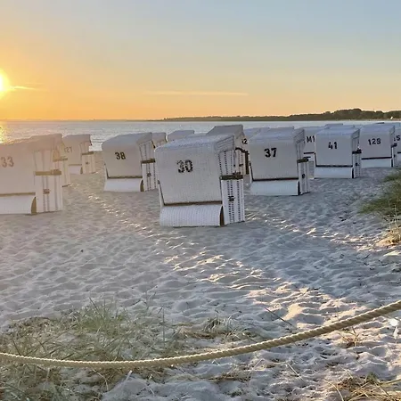 Strandflieder 304 * Boltenhagen (Ostseebad)